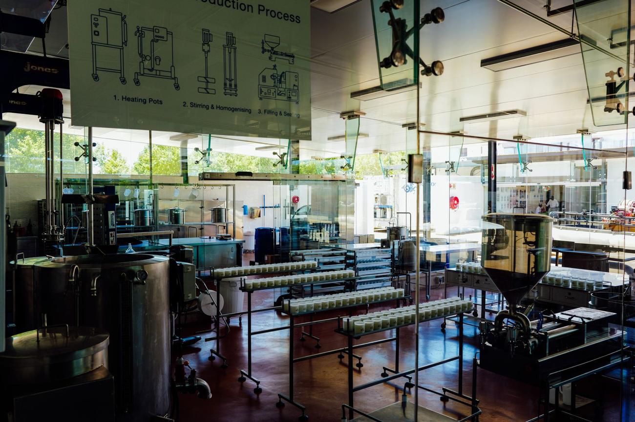 Production line with stainless steel equipment and a conveyor seen through a glass window in a processing plant